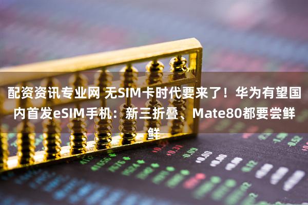 配资资讯专业网 无SIM卡时代要来了！华为有望国内首发eSIM手机：新三折叠、Mate80都要尝鲜